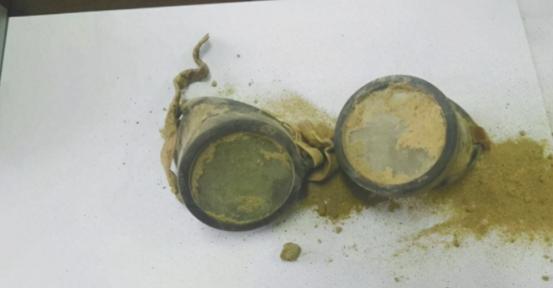 最新AR眼睛，自然美景的探险之旅启动！