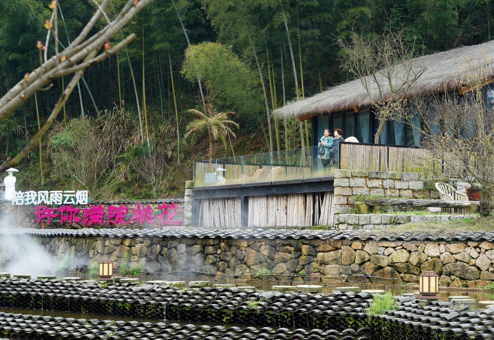 探寻现代都市中的绿色宝藏——南山楠最新景点探访