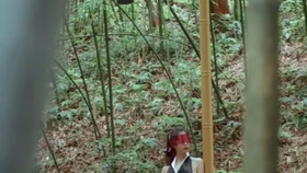 原野小年最新资讯