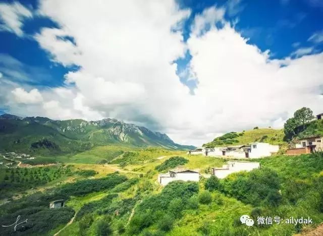 最新鉴定法，自然美景的心灵探索之旅