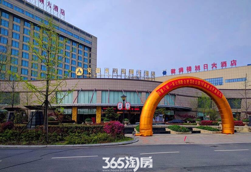 蓝光公园1号最新动态更新