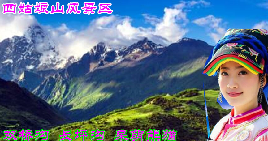 泗洪双沟最新新闻,泗洪双沟最新新闻，发展动态的深度解析与个人观点