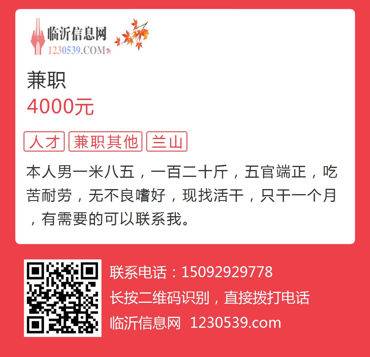 莱阳最新招聘双休，小城求职奇遇与友情的绽放之旅