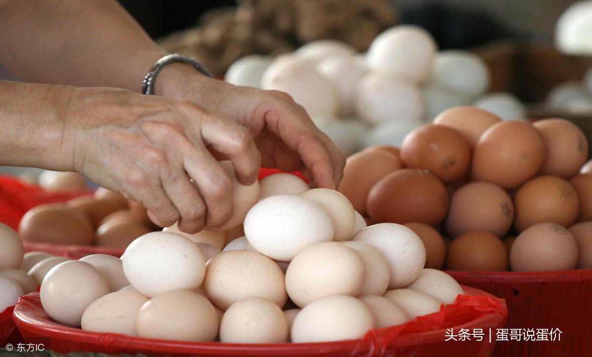 辽宁鸡蛋最新价格行情解析，获取与理解价格走势的详解