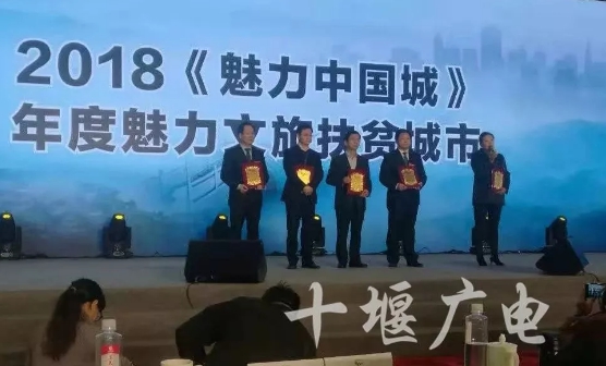 十堰最新拍卖信息揭秘，拍卖场上的温情故事