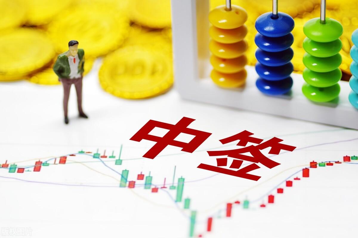 最新股中签号公布📣火速查看中签结果🚀