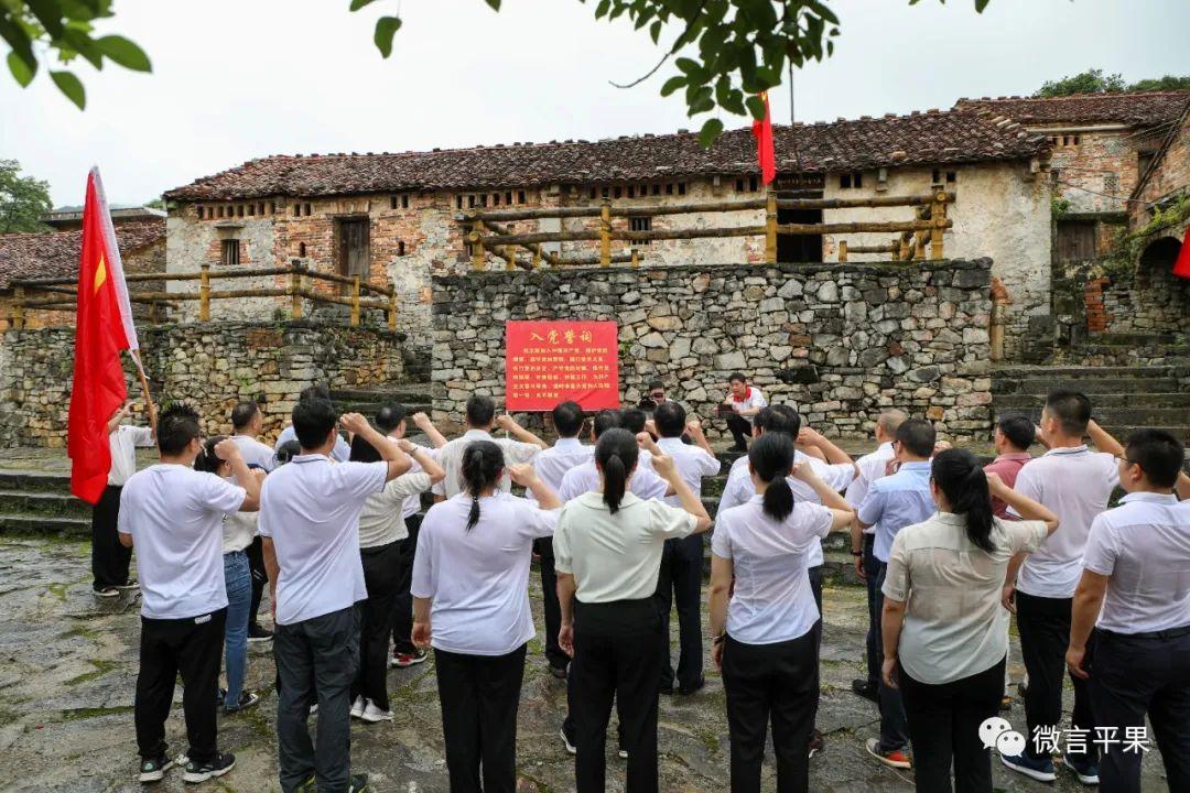 平果县最新房价，科技重塑居住梦想，引领未来前沿体验