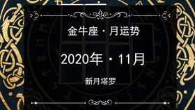 神图最新区，开启学习之旅，拥抱变化，自信闪耀时代