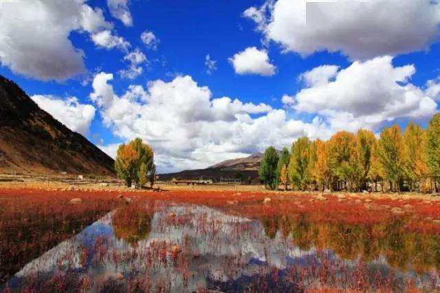 爱课帮带你探索自然美景，寻找内心平和的旅行之旅