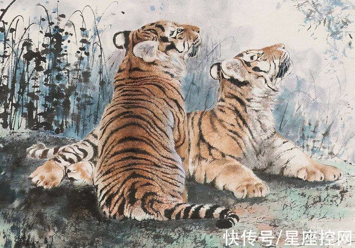 四虎最新求，学习变化，自信成就梦想之路