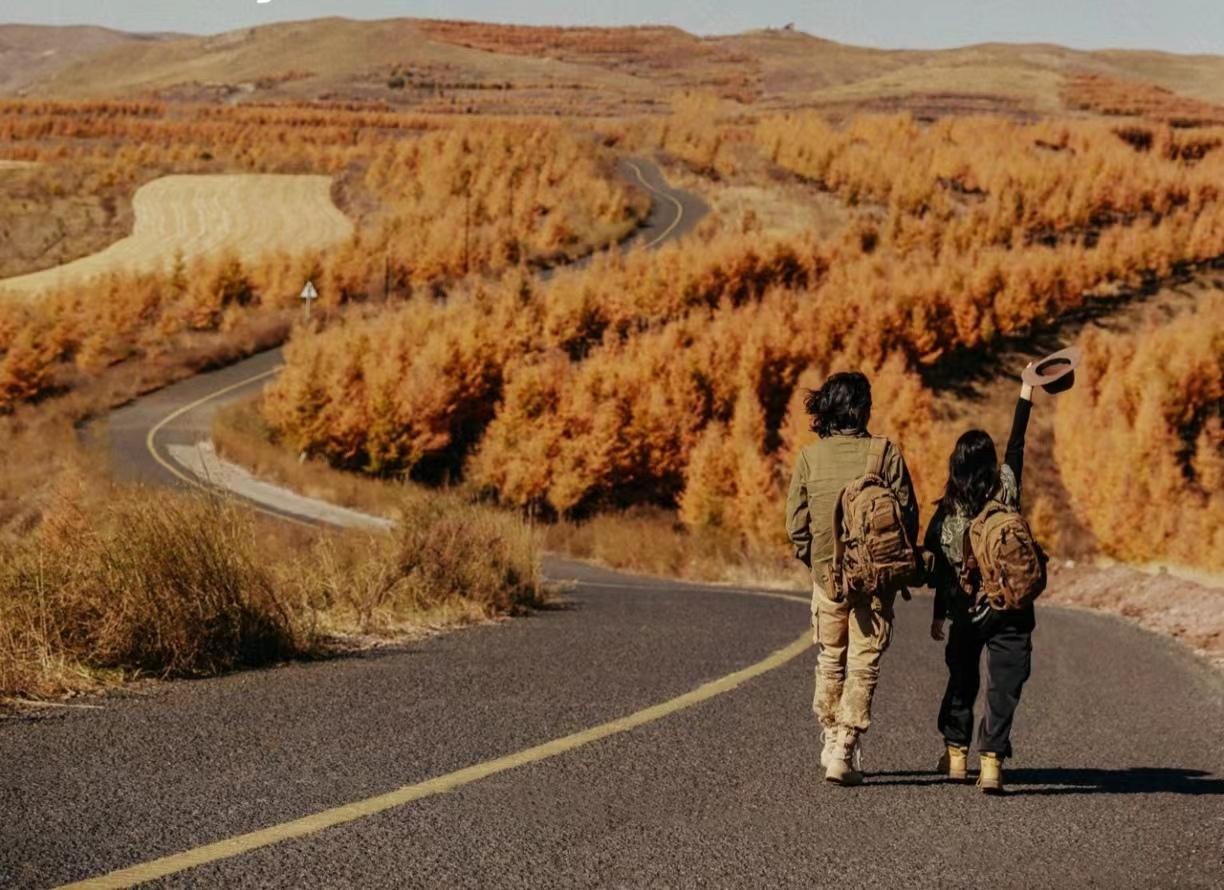 时尚与安全并重，最新开车自驾之旅启程🚗