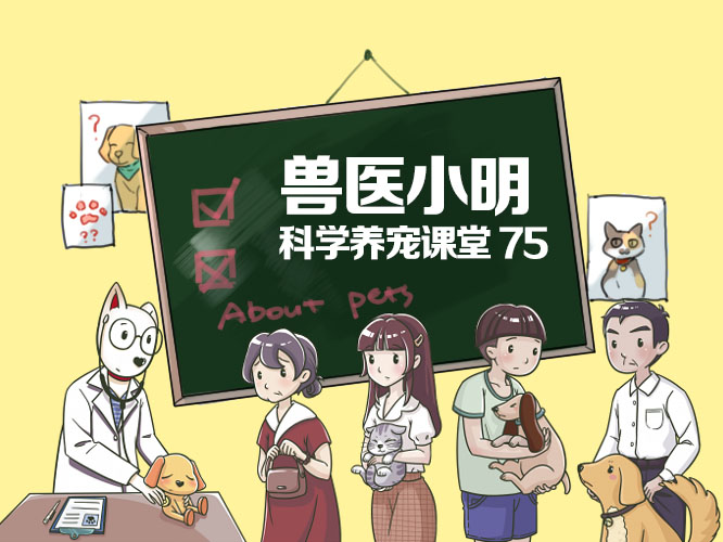 小明的日常小确幸与友情纽带，最新结构化视角下的探索