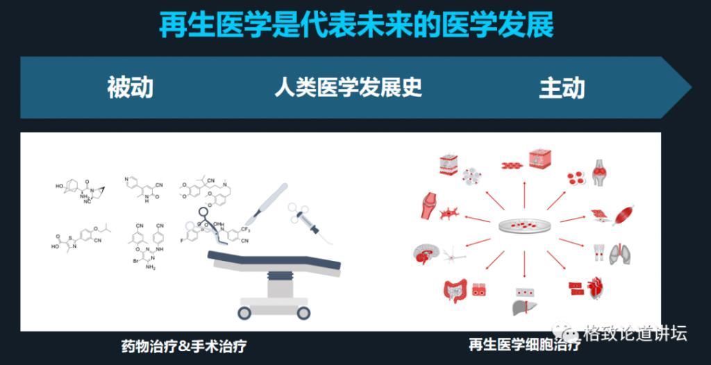 最新粪便移植成功案例，探索未来医学领域的突破性进展