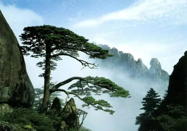 黄山最新资讯，云端之上的温馨旅程