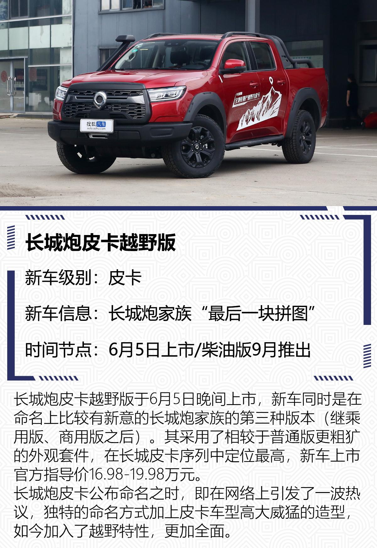 中国新车盘点,中国新车盘点，市场趋势与未来展望