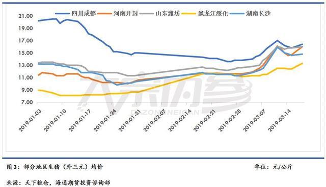 猪肉股票代码深度解析与投资洞察全攻略