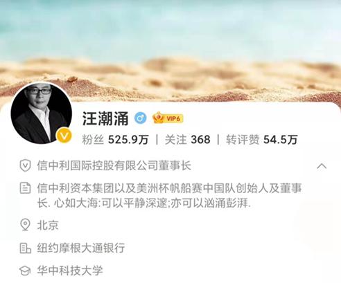股票停牌原因解析与内心平静之旅的探索