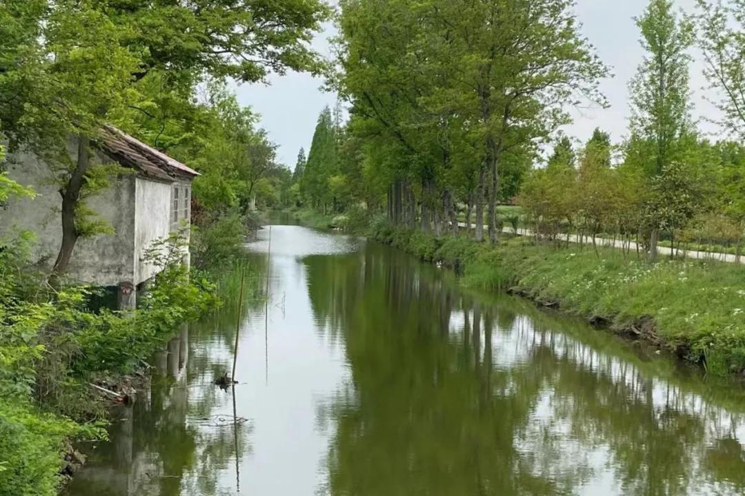 自然美景探索 第11页
