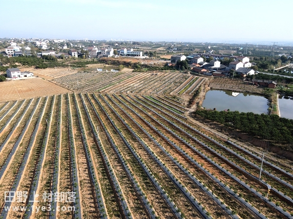 萧山红垦农场最新招聘信息公告