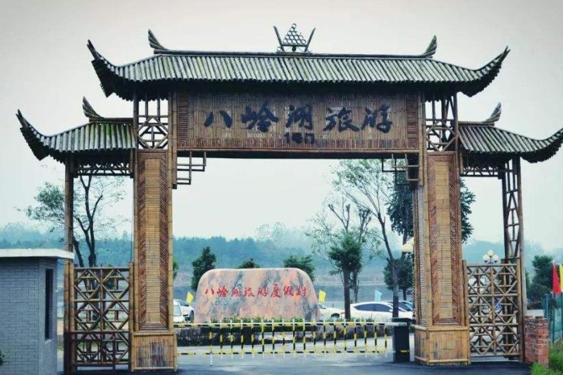宝宝兰高铁最新动态，自信旅程中的成就与进展