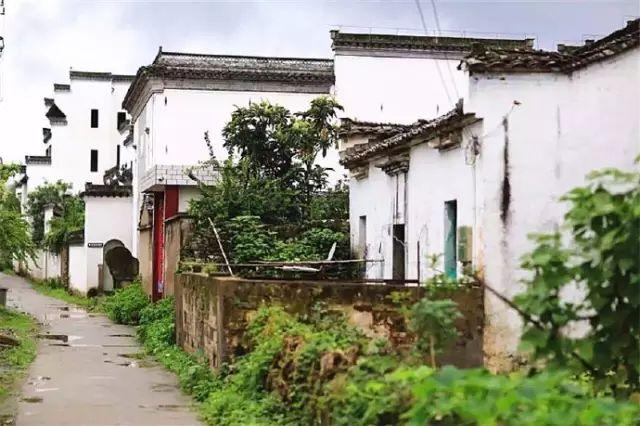 皖枞学校动态资讯，探索自然美景之旅，寻觅内心平静之路