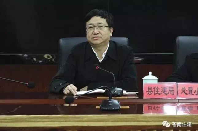 苍南华臣一品最新动态,苍南华臣一品最新动态，小巷中的独特风味