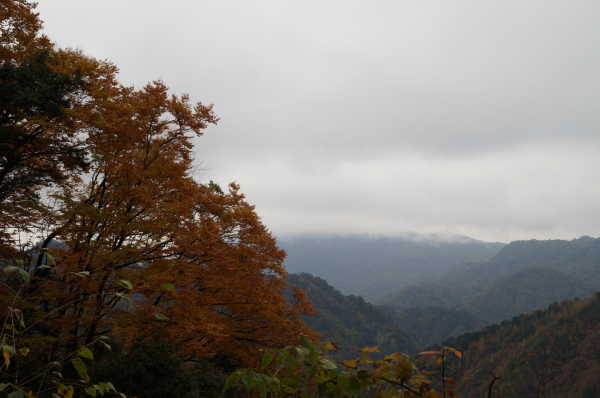 光雾山旅游攻略大全，最新攻略与游玩指南