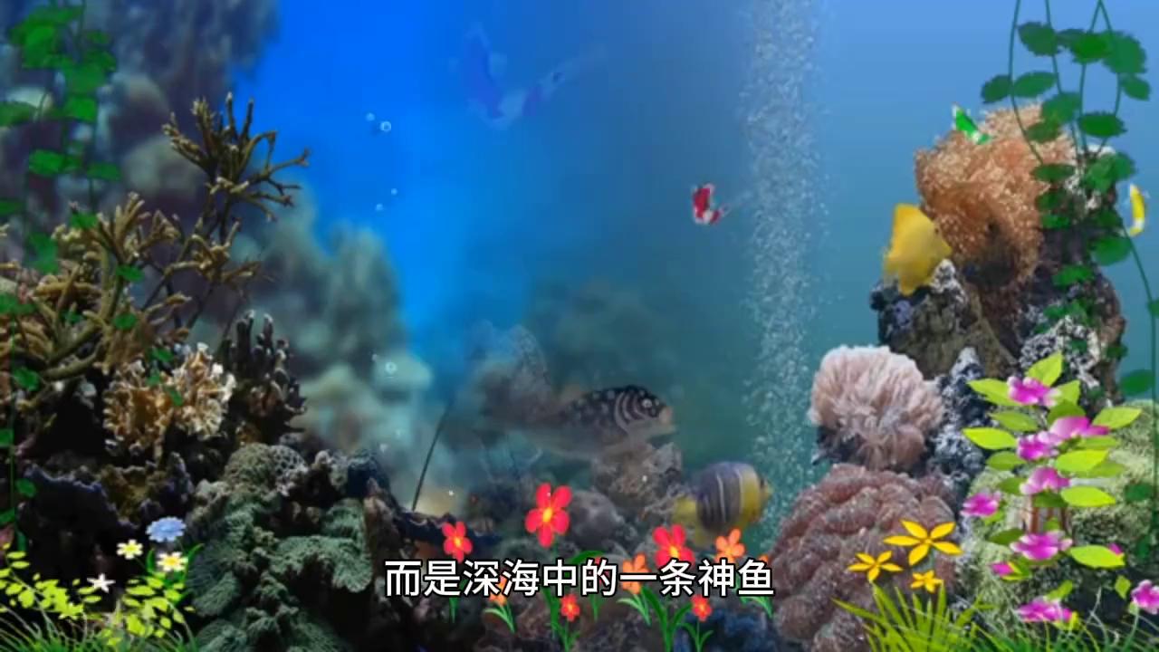 最新捕鱼游戏，探索自然美景，寻觅内心平静之旅
