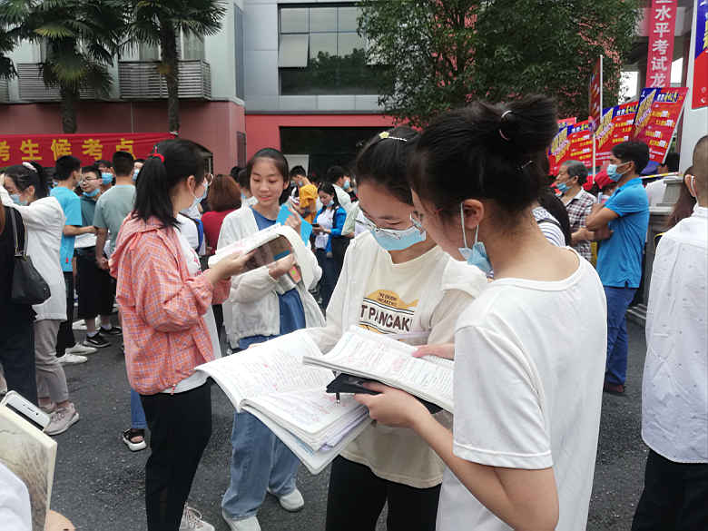 废铁价格今日动态，自然美景的心灵之旅探索