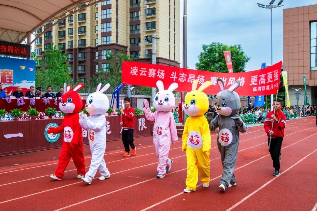 全面解读最新款苹果手机科技魅力，最新型号一览无余