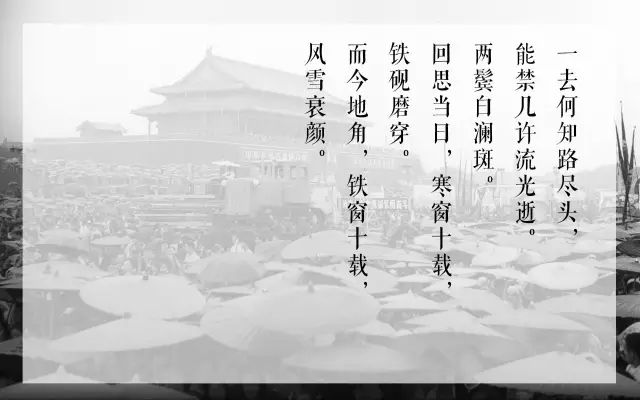 罗峰顾雪念最新小说，时代背景下的情感纠葛与成长史诗（全文免费阅读）