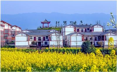 最新农村电视剧，展现乡村生活的多彩画卷
