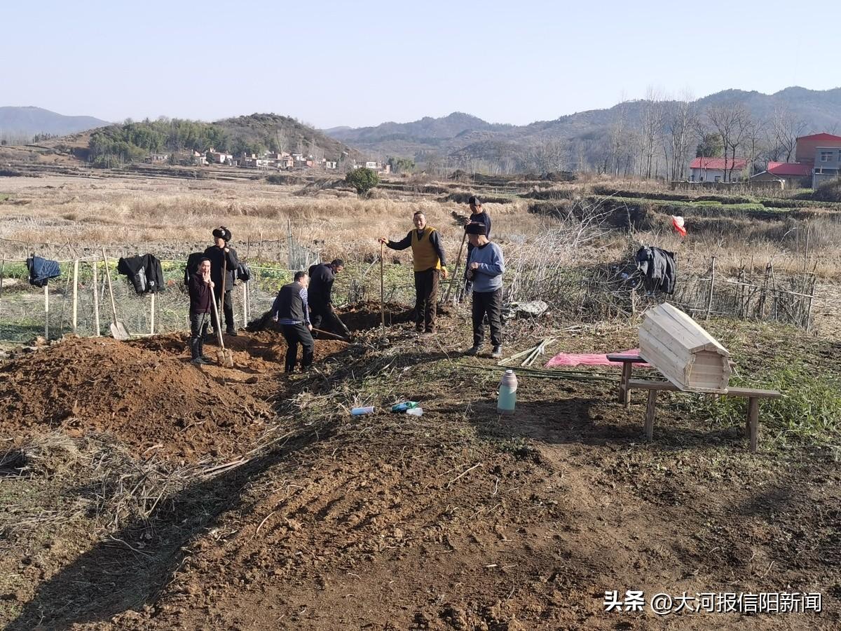左岸春风一语断蓝最新,左岸春风一语断蓝最新，高科技产品的崭新篇章