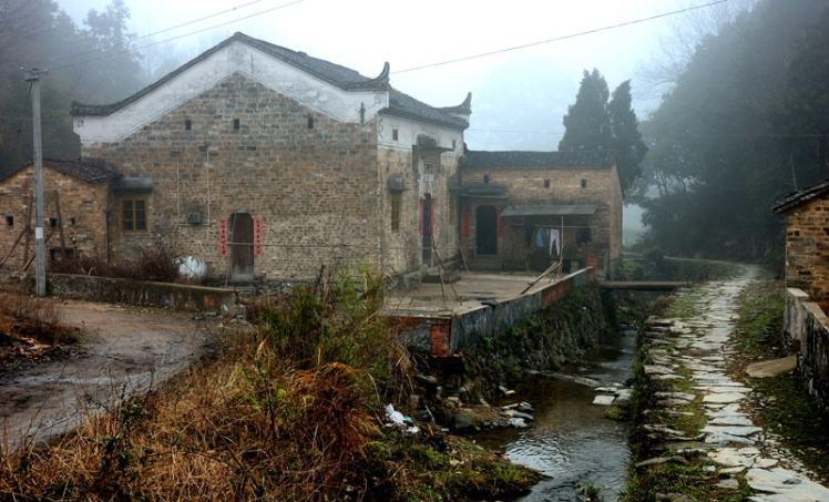 小巷深处的独特风味探索之旅，揭秘最新T66Y地址分享