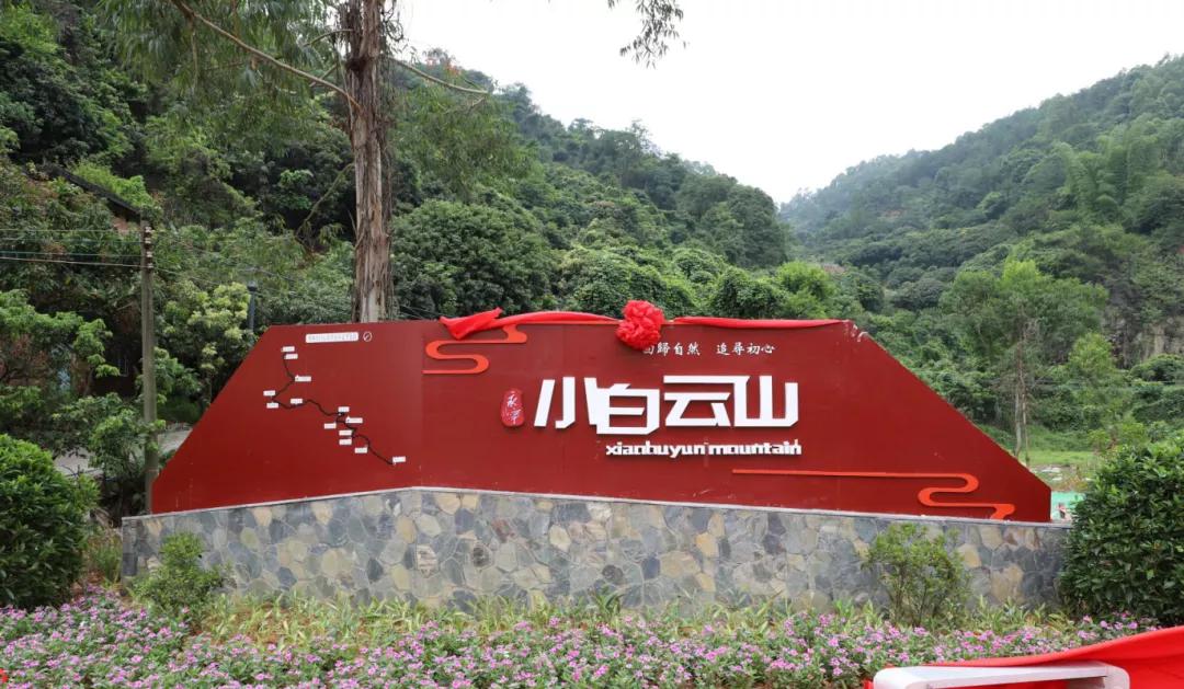 增城家园网最新招聘，学习变化，成就自我发展之路