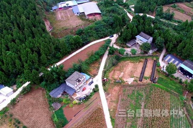 三台县龙树镇最新新闻,马克思主义理论_方案版23.466