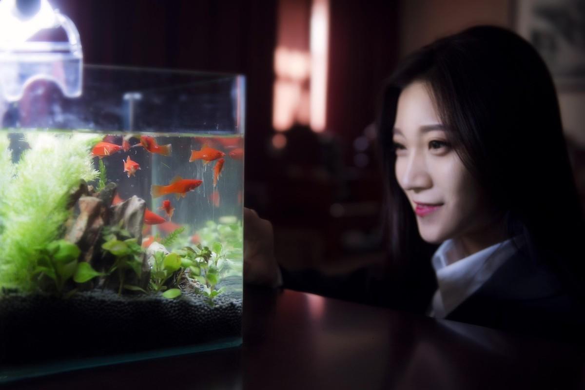 叶凌天李雨欣最新章节,策略规划_触感版23.975