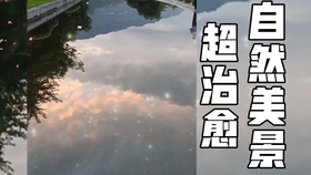 智能家居 第411页