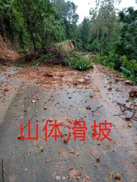 台风最新动态，多方观点分析台风16号影响及评估结果