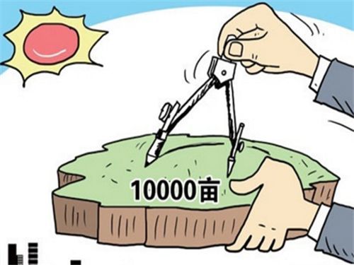 远离非法色情，探寻小巷特色小店的故事