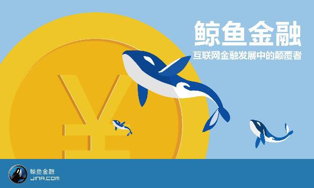 鲸钱包最新动态解析，最新消息一览