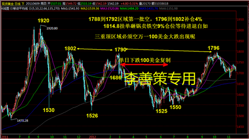 黄金走势最新分析,黄金走势与家的温暖——一段关于友情与陪伴的日常故事