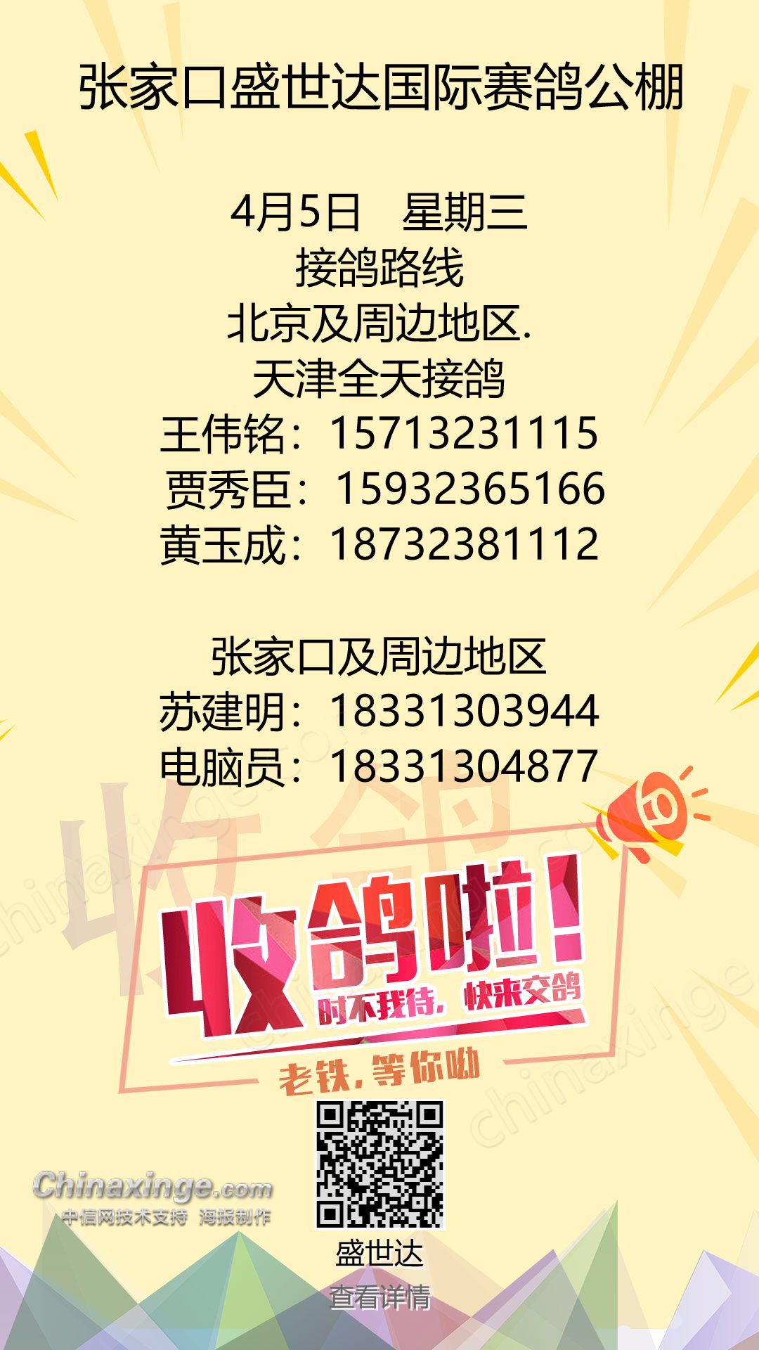 盛世达公棚最新公告，揭示未来发展方向与最新动态进展