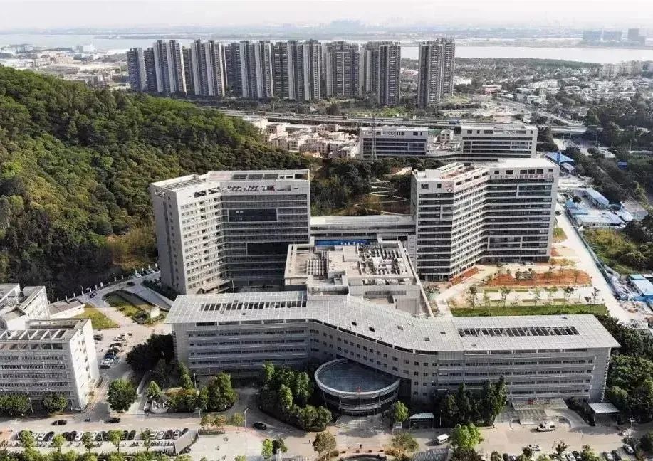 南沙最新疫情全面解读与应对策略