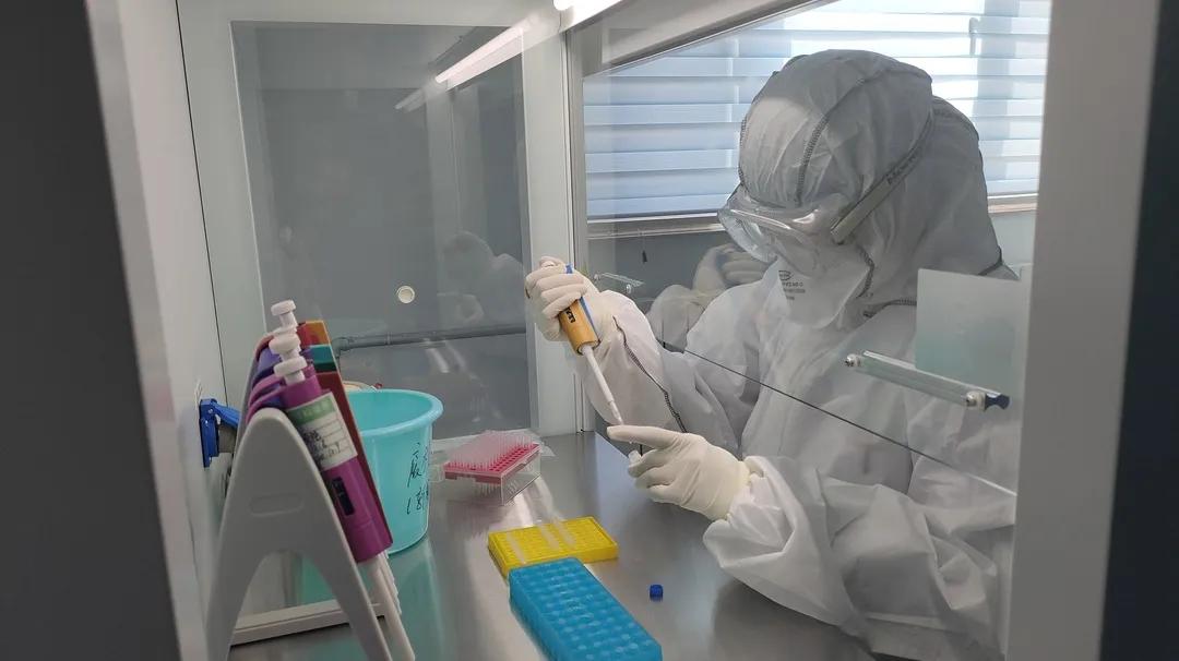 贺兰最新病例详解，最新病例解析报告