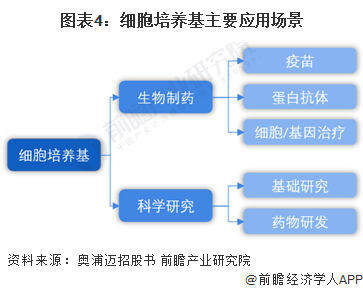最新防守策略，演变、影响及特定时代的地位分析