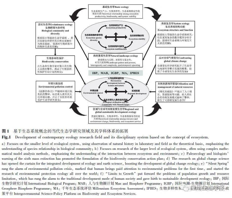 最新脊龙独特特征与演化地位的观点分析揭秘