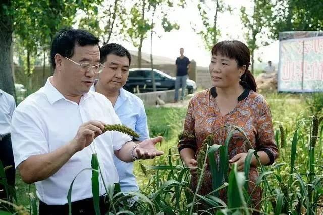 供给侧改革深度解读，背景、重要事件及其影响分析