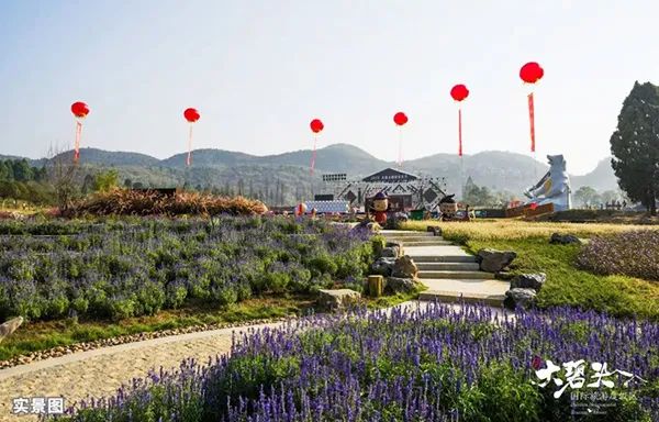 绥化自然美景探索之旅，最新冠状下的宁静之旅