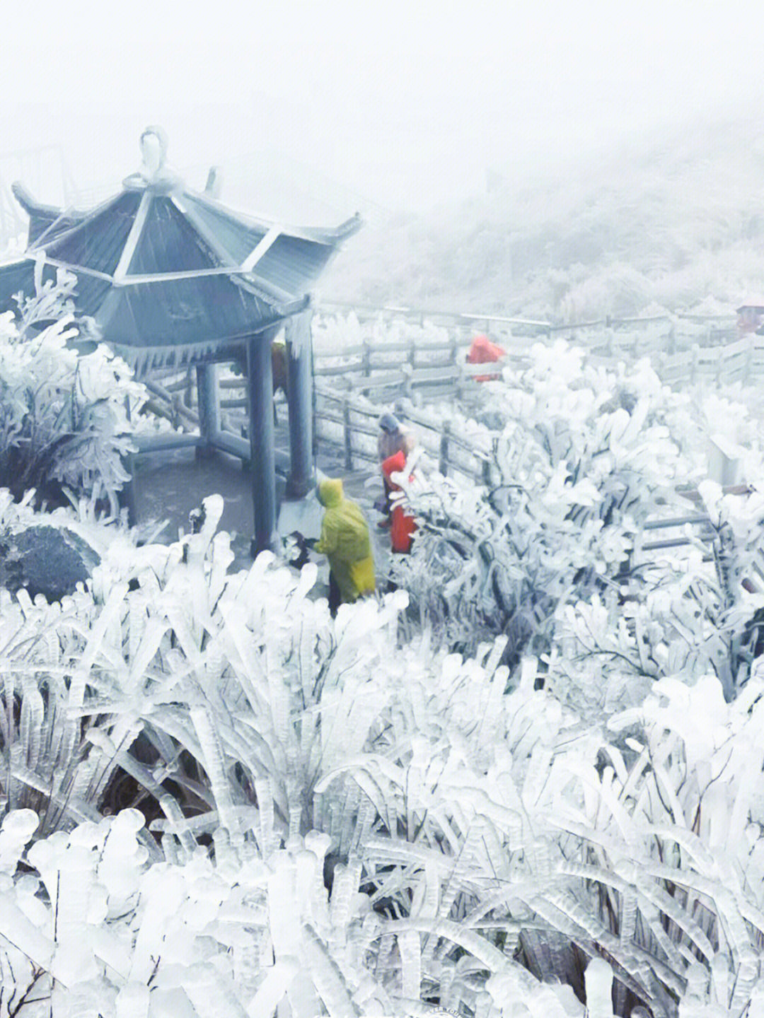 清远下雪最新报道，冬日仙境般的清远之旅下雪美景